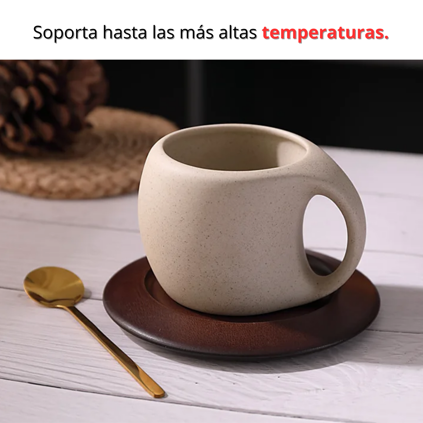 Cup & Co